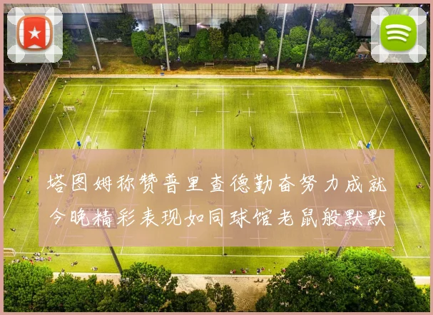 塔图姆称赞普里查德勤奋努力成就今晚精彩表现如同球馆老鼠般默默付出