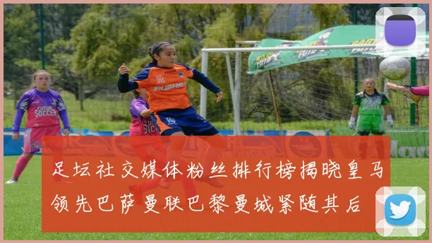 足坛社交媒体粉丝排行榜揭晓皇马领先巴萨曼联巴黎曼城紧随其后