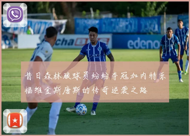 昔日森林狼球员纷纷夺冠加内特乐福维金斯唐斯的传奇逆袭之路